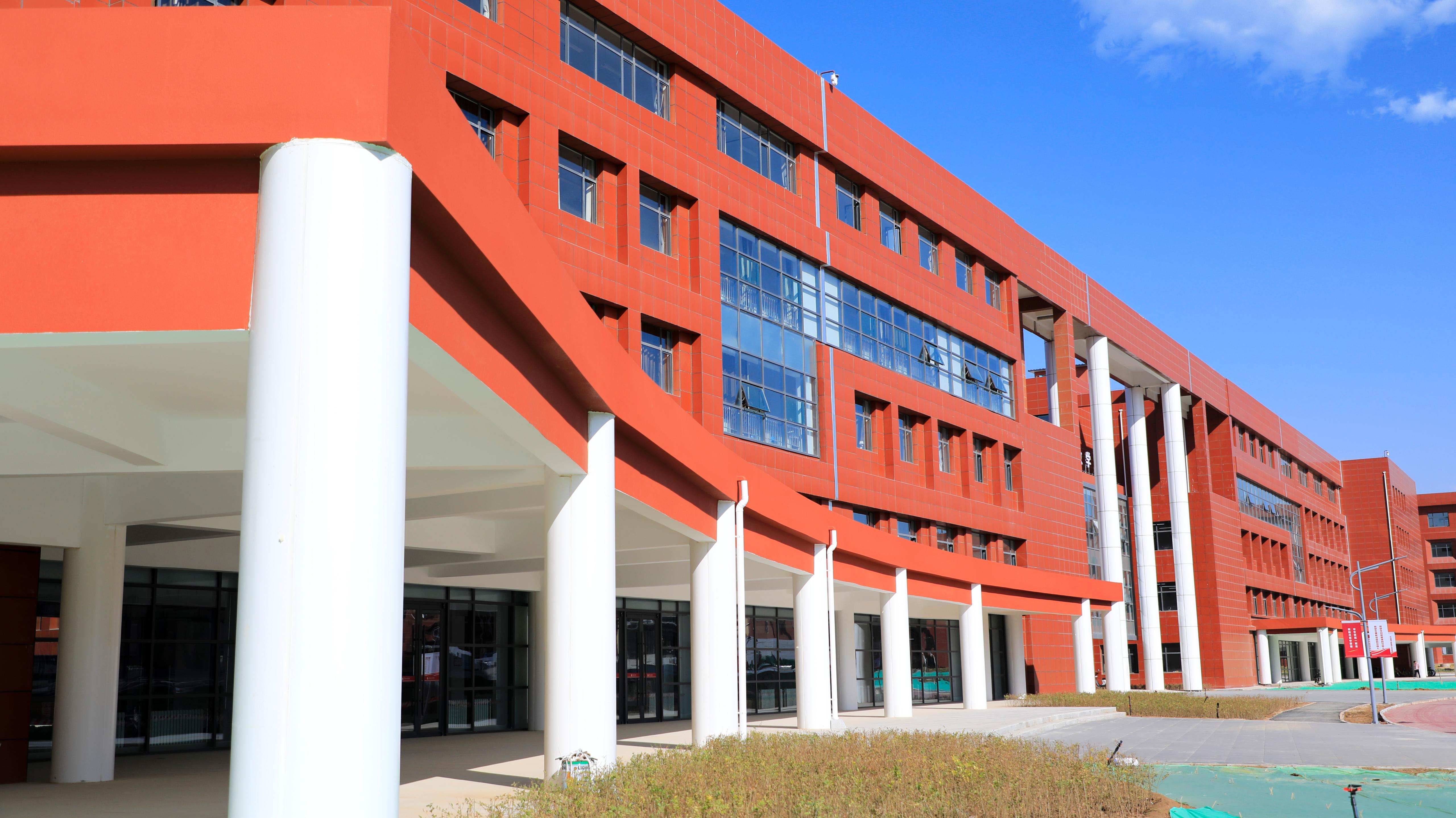 学校单位网站建设解决方案